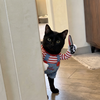 Halloween Pet Costume